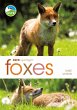 RSPB Spotlight: Foxes (eBook, ePUB) - Bild 1