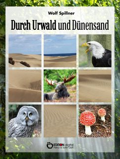 Durch Urwald und Dünensand (eBook, ePUB) - Spillner, Wolf