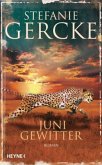 Junigewitter Junigewitter
