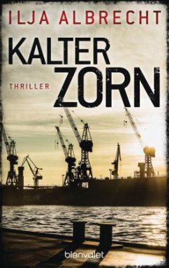Kalter Zorn / Kiran Mendelsohn Bd.2 - Albrecht, Ilja
