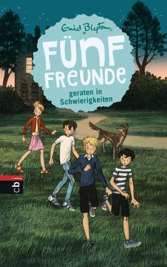 Fünf Freunde geraten in Schwierigkeiten / Fünf Freunde Bd.8 - Blyton, Enid