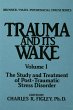 Trauma And Its Wake (eBook, ePUB) - Bild 1