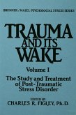 Trauma And Its Wake (eBook, ePUB)