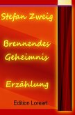 Brennendes Geheimnis (eBook, ePUB)