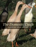 Domestic Duck (eBook, ePUB)