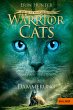 Dämmerung / Warrior Cats Staffel 2 Bd.5 - Bild 1