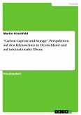 "Carbon Capture and Storage". Perspektiven auf den Klimaschutz in Deutschland und auf internationaler Ebene