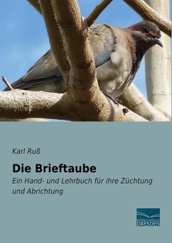 Die Brieftaube - Ruß, Karl