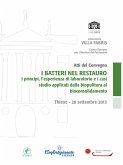 I batteri nel restauro (eBook, ePUB)