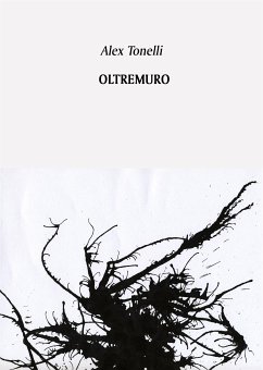 Oltremuro (eBook, ePUB) - Tonelli, Alex