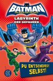 Batman - Labyrinth der Gefahren