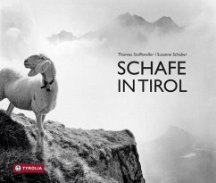 Schafe in Tirol - Schaber, Susanne