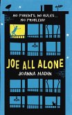 Joe All Alone (eBook, ePUB)