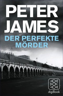 Der perfekte Mörder (eBook, ePUB) - James, Peter