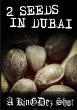2 Seeds In Dubai! - Bild 1