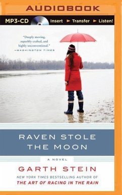 Raven Stole the Moon - Stein, Garth