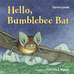 Hello, Bumblebee Bat - Lunde, Darrin