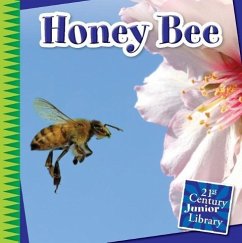 Honey Bee - Marsico, Katie