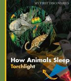 How Animals Sleep