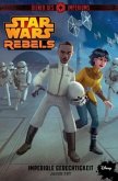 Imperiale Gerechtigkeit / Star Wars - Diener des Imperiums Bd.3