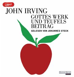 Gottes Werk und Teufels Beitrag - Irving, John