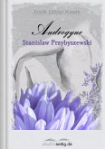 Androgyne (eBook, ePUB) Androgyne (eBook, ePUB)
