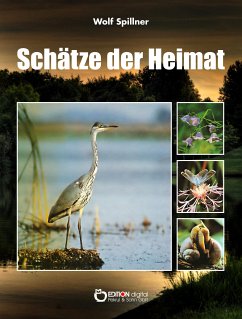 Schätze der Heimat (eBook, PDF) - Spillner, Wolf