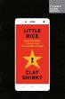 Little Rice (eBook, ePUB) - Bild 1