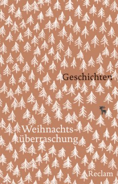 Cover Weihnachtsüberraschung