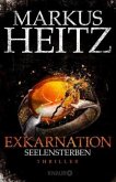 Seelensterben / Exkarnation Bd.2 (Restexemplar) Seelensterben / Exkarnation Bd.2 (Restexemplar)