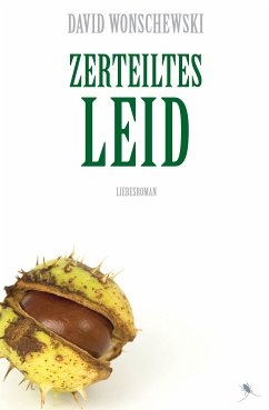 Zerteiltes Leid (eBook, ePUB) - Wonschewski, David