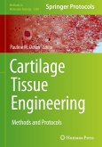 Cartilage Tissue Engineering