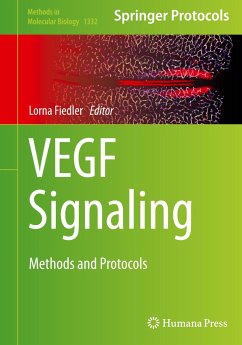 VEGF Signaling