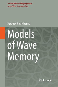 Models of Wave Memory - Kashchenko, Serguey