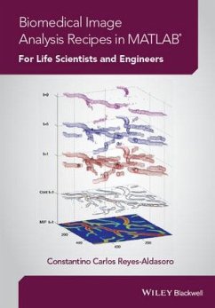 Biomedical Image Analysis Recipes in MATLAB (eBook, ePUB) - Reyes-Aldasoro, Constantino Carlos