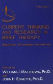 Current Thinking and Research in Brief Therapy (eBook, PDF)