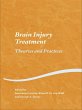 Brain Injury Treatment (eBook, PDF) - Bild 1