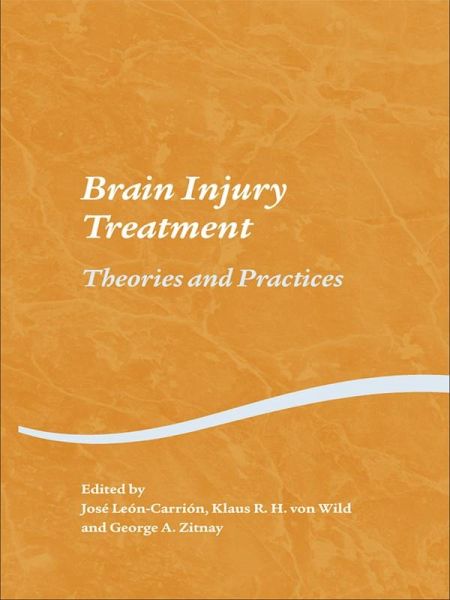 Brain Injury Treatment (eBook, PDF) Brain Injury Treatment (eBook, PDF)