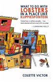 What To Do With Lobsters In A Place Like Klippiesfontein (eBook, ePUB)