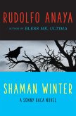 Shaman Winter (eBook, ePUB)