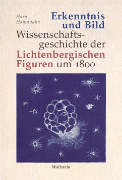 Erkenntnis und Bild (eBook, PDF) - Hamanaka, Haru