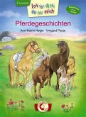 Pferdegeschichten