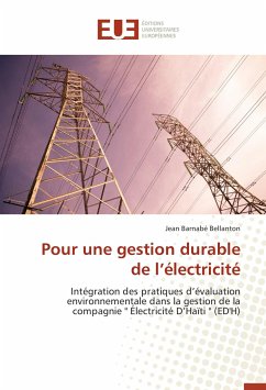 Pour une gestion durable de l'électricité - Bellanton, Jean Barnabé