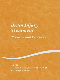 Brain Injury Treatment (eBook, ePUB) - Leon-Carrion, Jose; Wild, Klaus R. H. von; Zitnay, George A.
