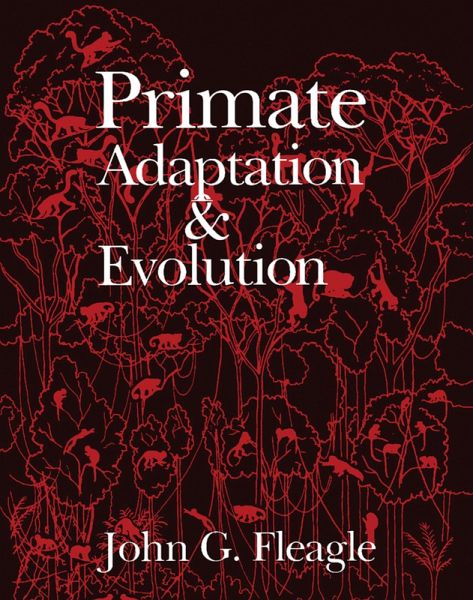 Primate Adaptation and Evolution (eBook, PDF)