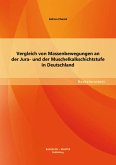 Vergleich von Massenbewegungen an der Jura- und der Muschelkalkschichtstufe in Deutschland (eBook, PDF)