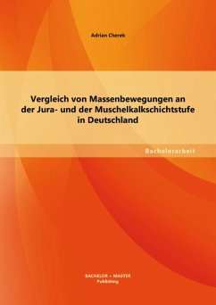 Vergleich von Massenbewegungen an der Jura- und der Muschelkalkschichtstufe in Deutschland (eBook, PDF) - Cherek, Adrian