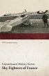 Sky Fighters of France (WWI Centenary... - Bild 1