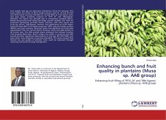 Enhancing bunch and fruit quality in plantains (Musa sp. AAB group)