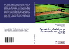 Degradation of cellulose by Actinomycete from Eisenia foetida